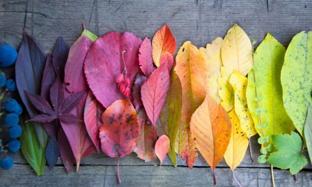 Calendario ottobre 2018